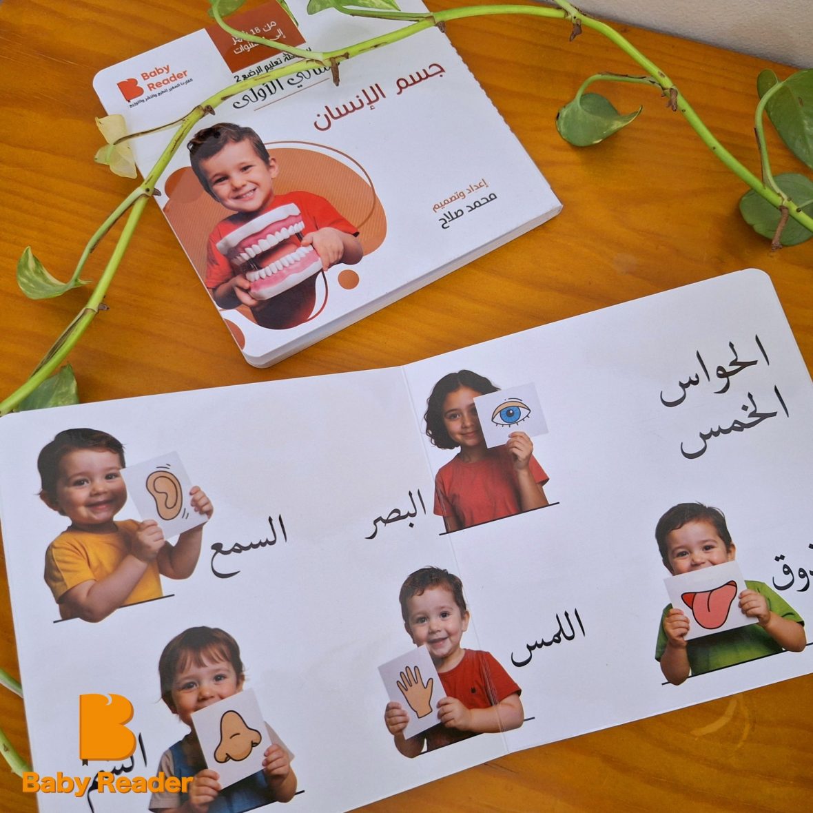 547420583_1163030602540029_7511254758031720702_n