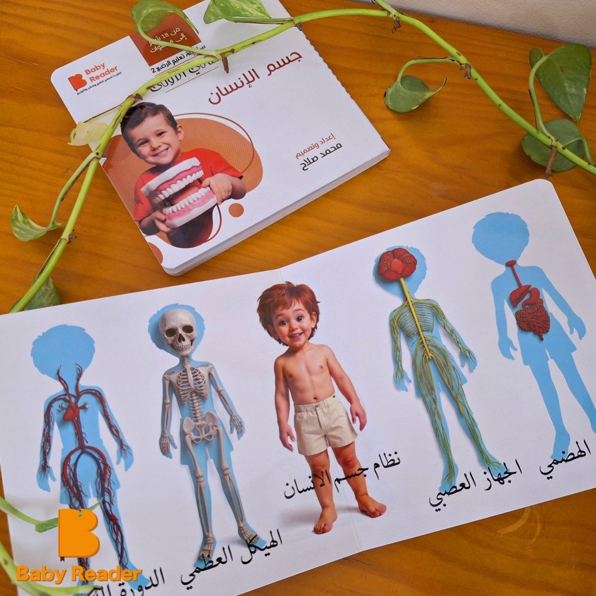 547955662_1163030672540022_2793288195582496876_n