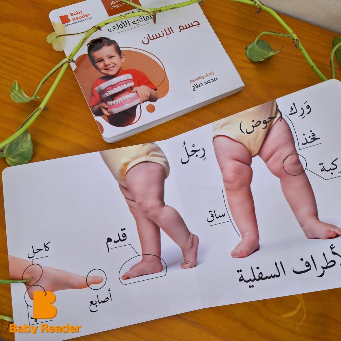 549310256_1163030552540034_6154935326937706748_n