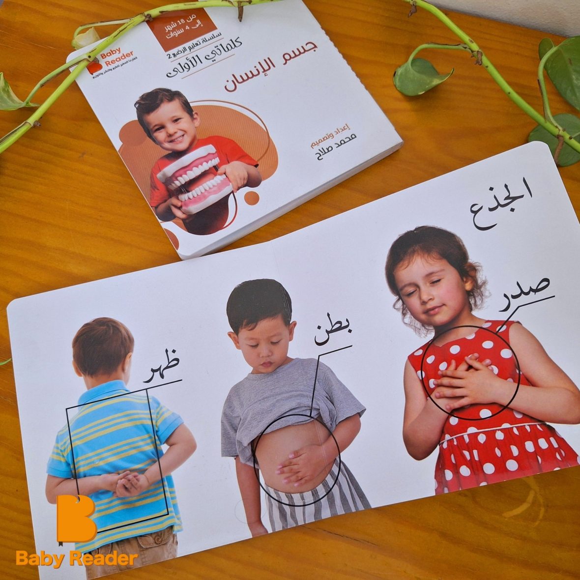 549996382_1163030475873375_701492584214270098_n